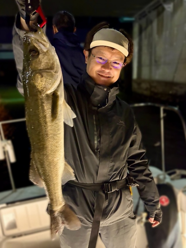 シーバス(スズキ)