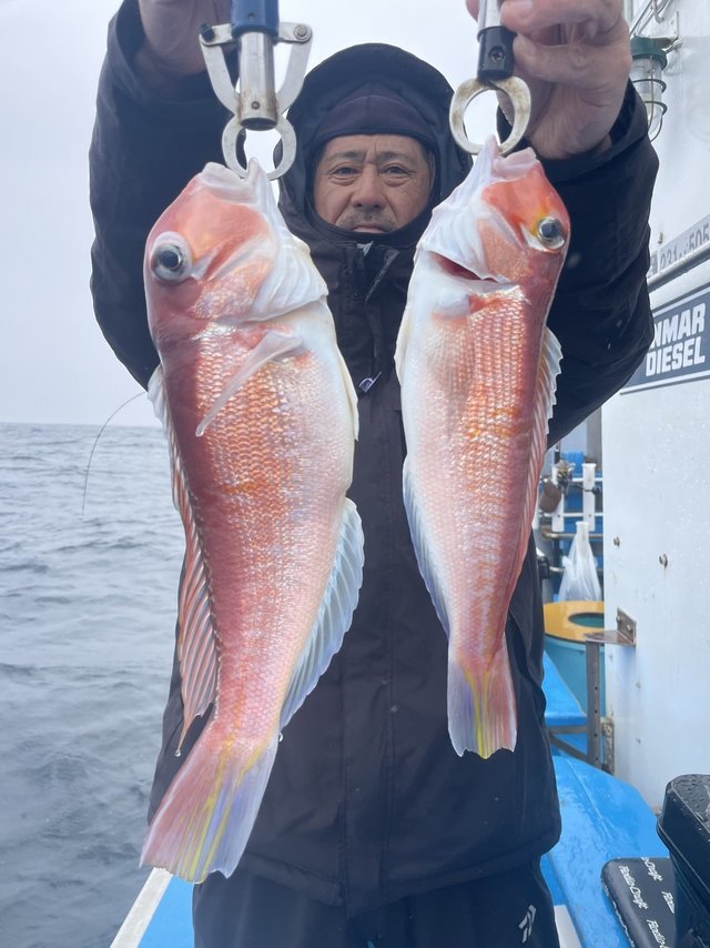 アマダイ(アカアマダイ)