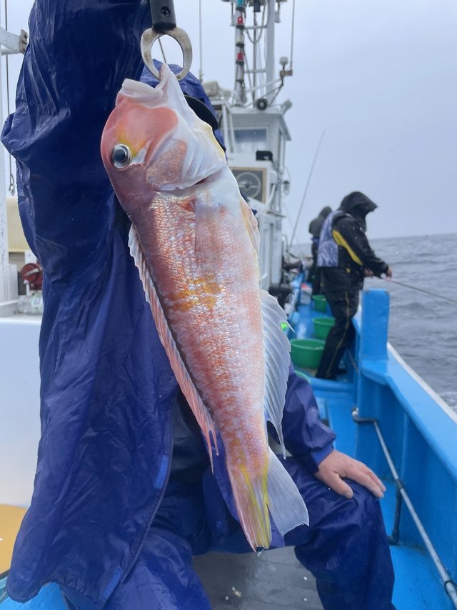 アマダイ(アカアマダイ)