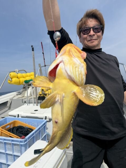 アオナ(アオハタ)