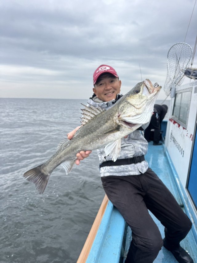 シーバス(スズキ)