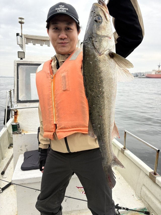 シーバス(スズキ)