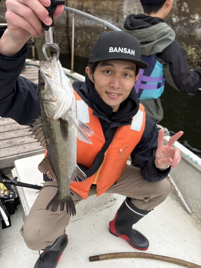 シーバス(スズキ)