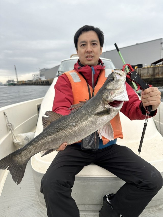 シーバス(スズキ)