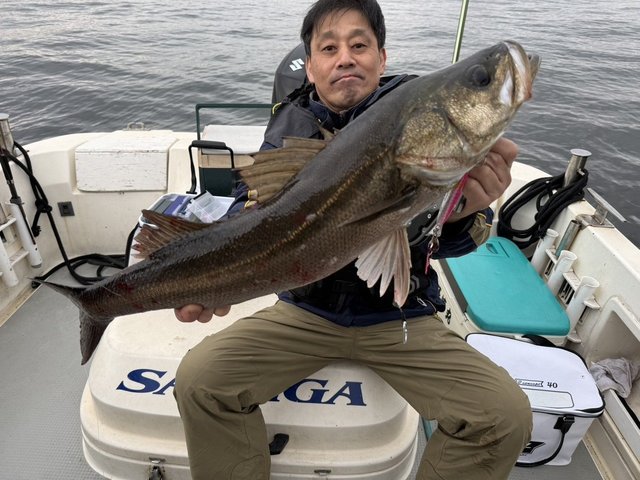 シーバス(スズキ)