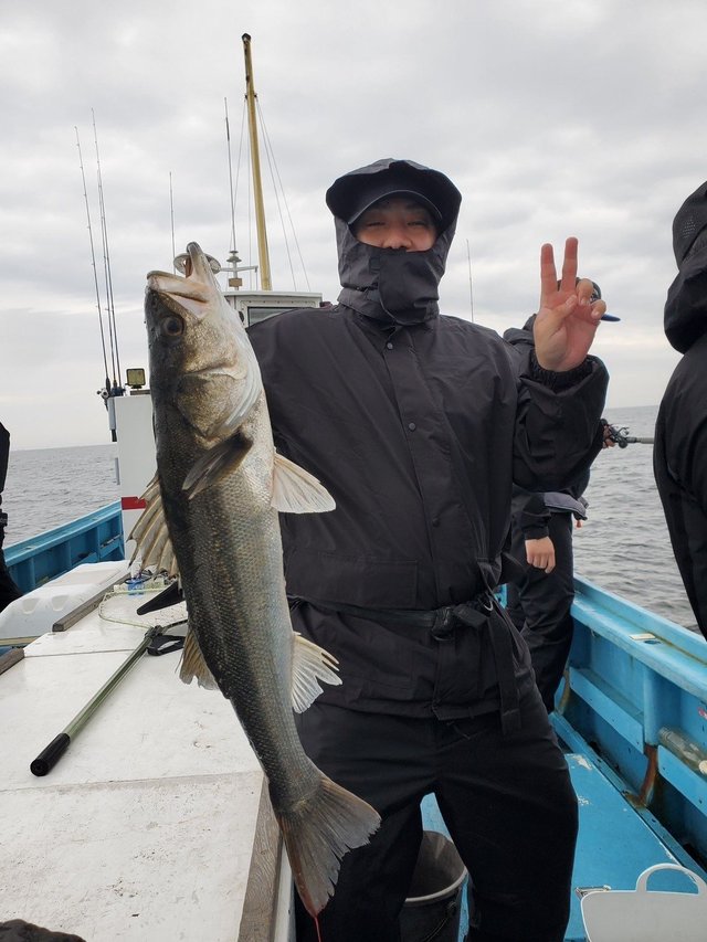 シーバス(スズキ)