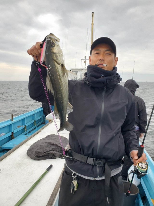 シーバス(スズキ)