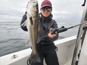 シーバス(スズキ)