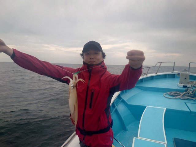 マルイカ(ケンサキイカ)