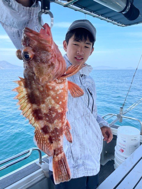 ウッカリカサゴ