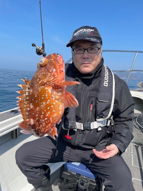 ウッカリカサゴ