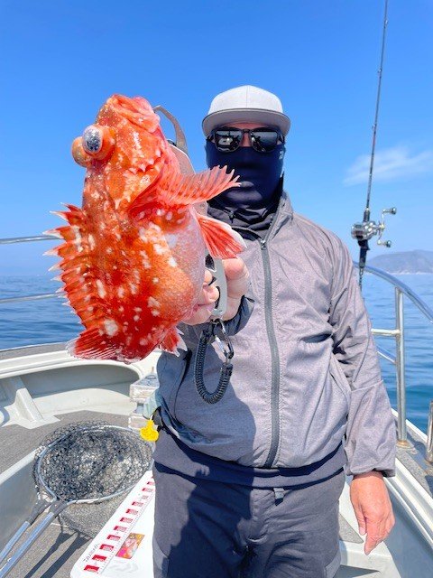 ウッカリカサゴ