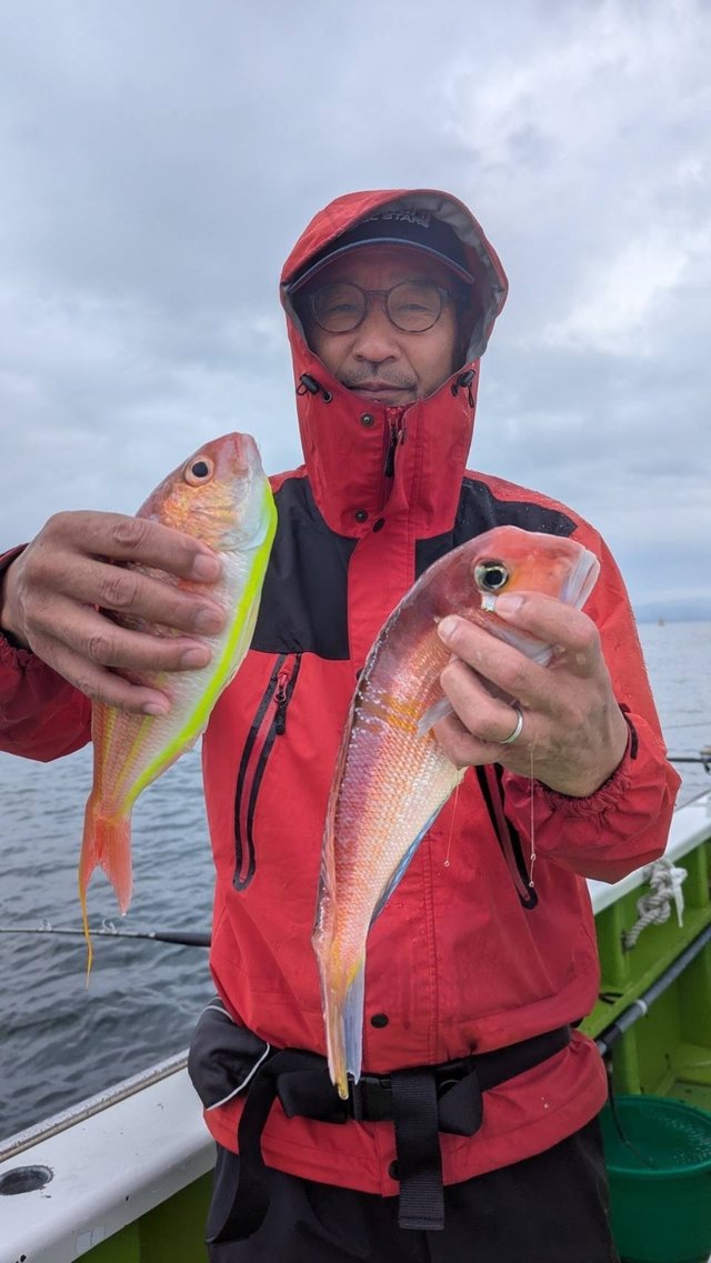 アマダイ(アカアマダイ)