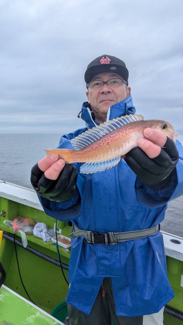 アマダイ(アカアマダイ)