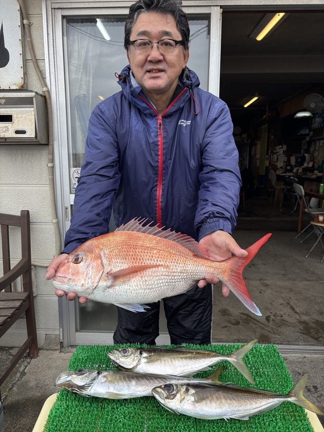 マダイ・アジ(マアジ)