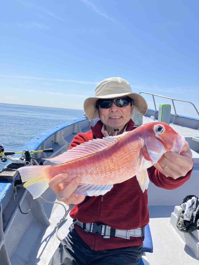 アマダイ(アカアマダイ)