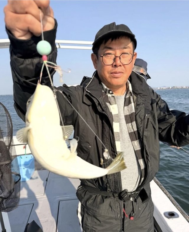 ショウサイフグ
