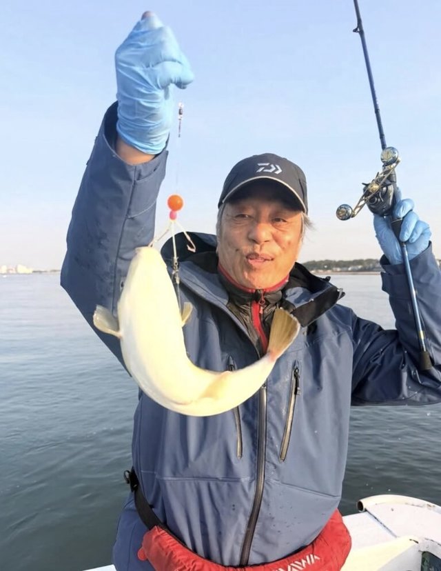 ショウサイフグ