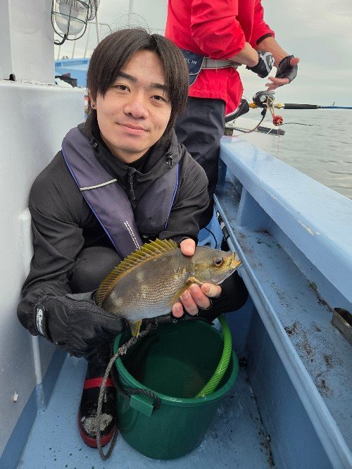 イサギ(イサキ)