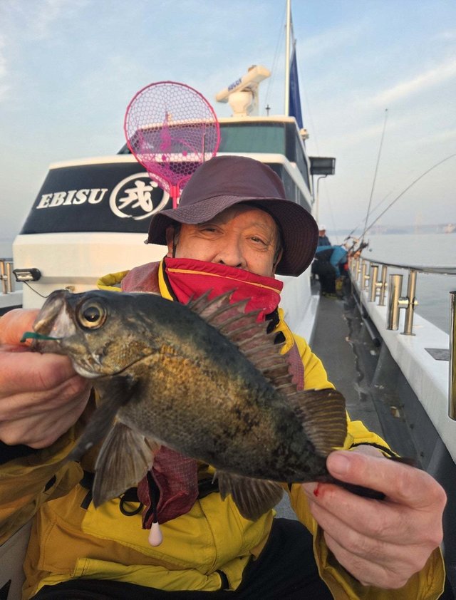 クロメバル(メバル)