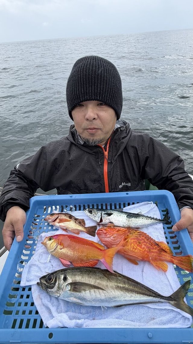 メダイ・オキメバル(ウスメバル)