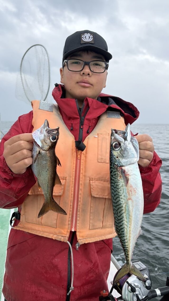 ムツ・サバ(ゴマサバ)