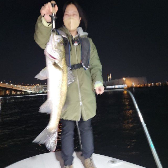 シーバス(スズキ)