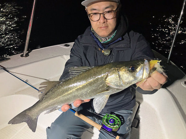 シーバス(スズキ)