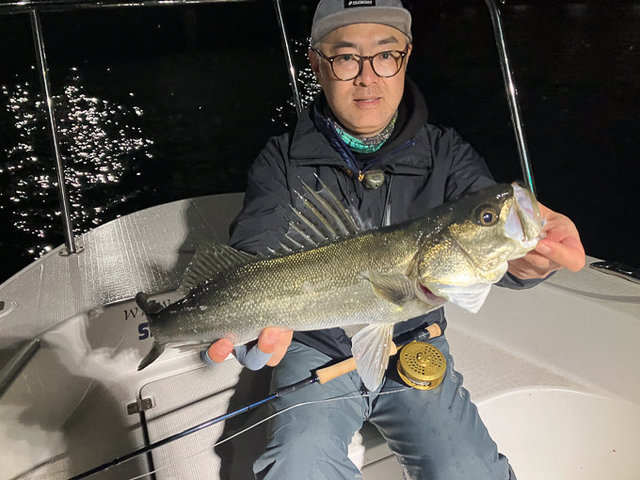 シーバス(スズキ)