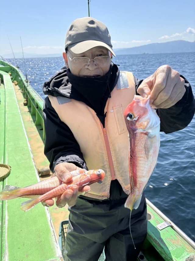 アマダイ(アカアマダイ)