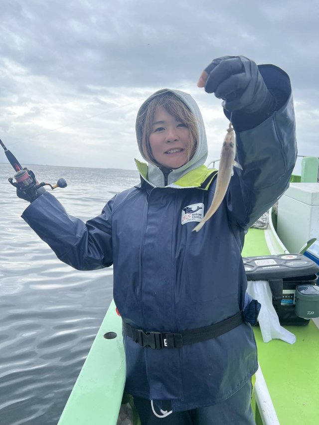 シロギス