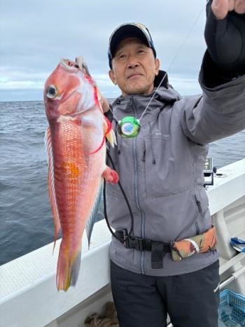 アマダイ(アカアマダイ)