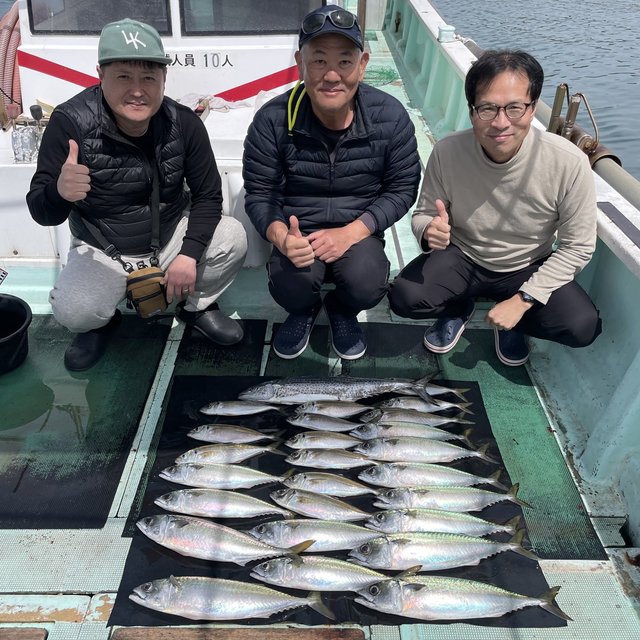 マアジ・マサバ・サワラ