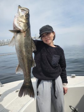 シーバス(スズキ)