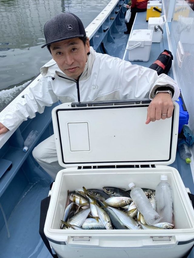 アジ(マアジ)・マサバ