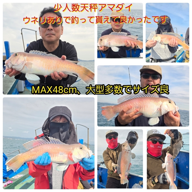 シロアマダイ