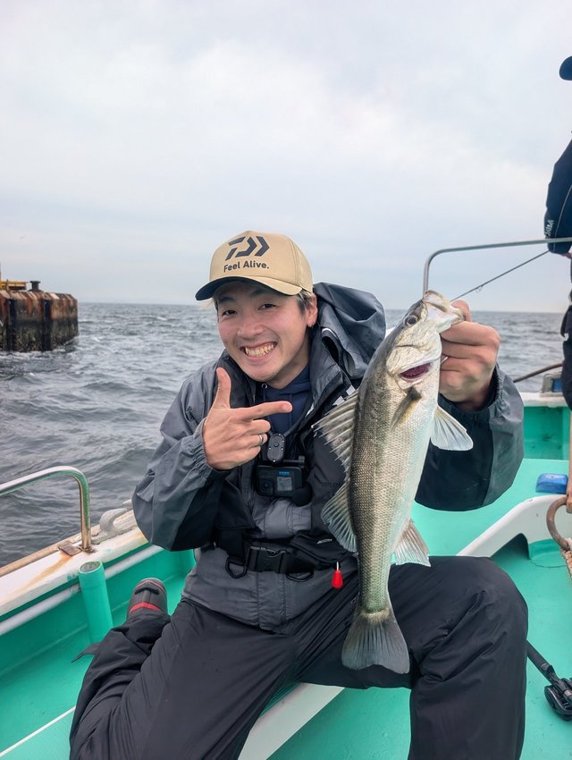 シーバス(スズキ)