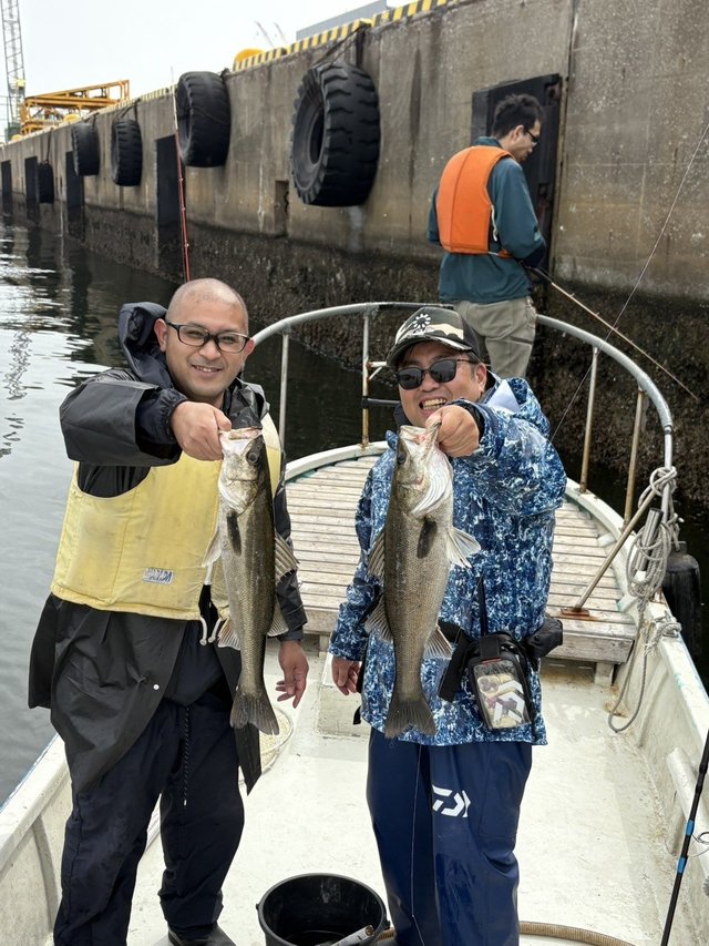 シーバス(スズキ)