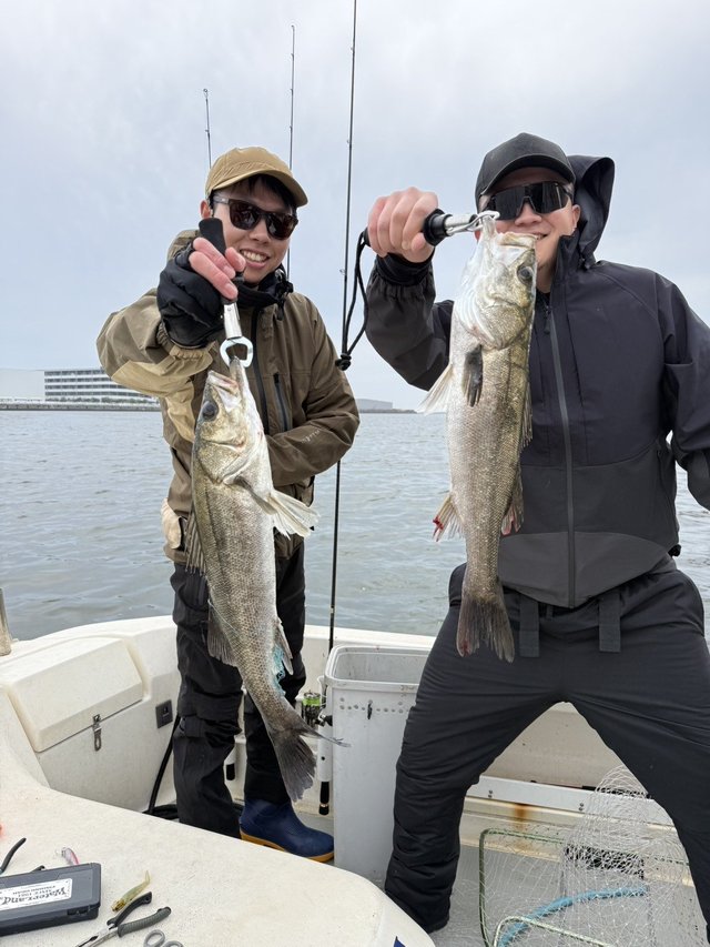 シーバス(スズキ)