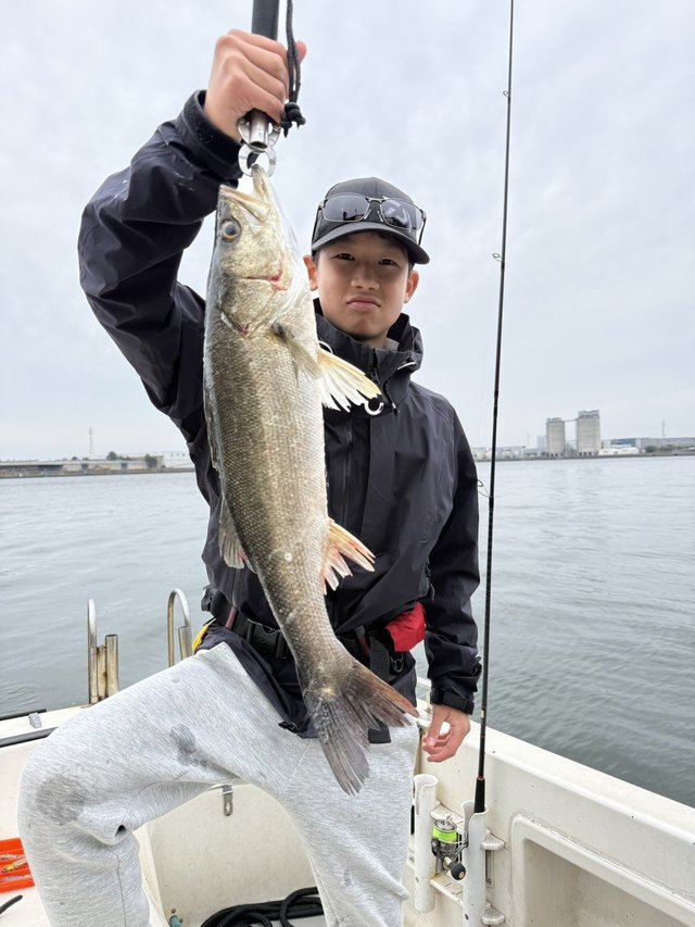 シーバス(スズキ)