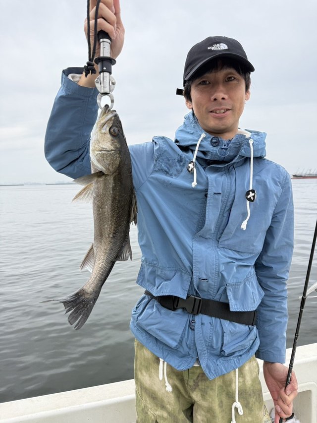 シーバス(スズキ)