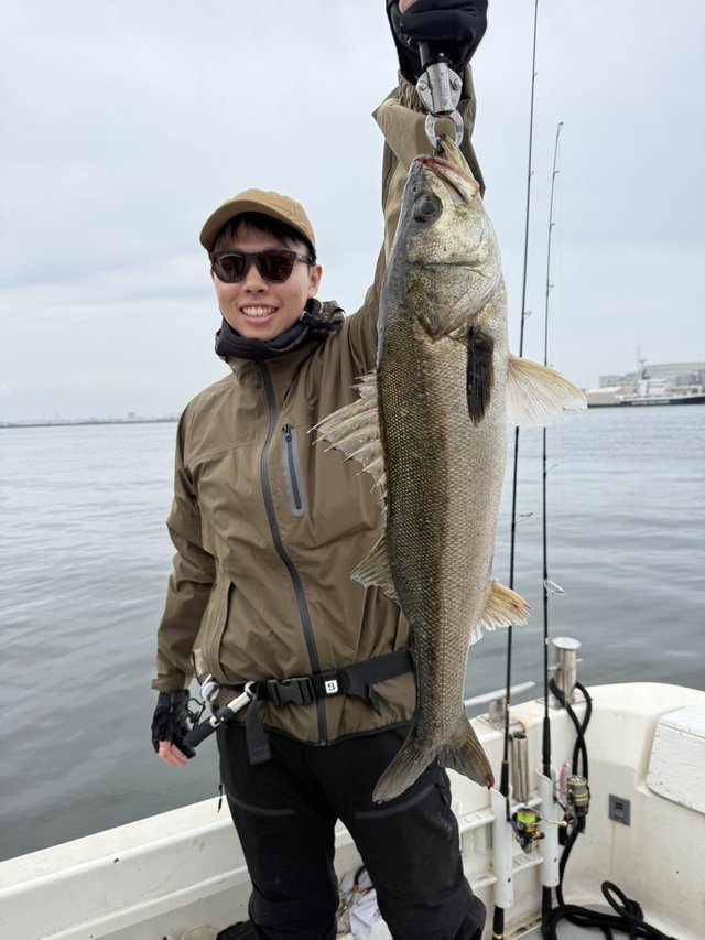 シーバス(スズキ)