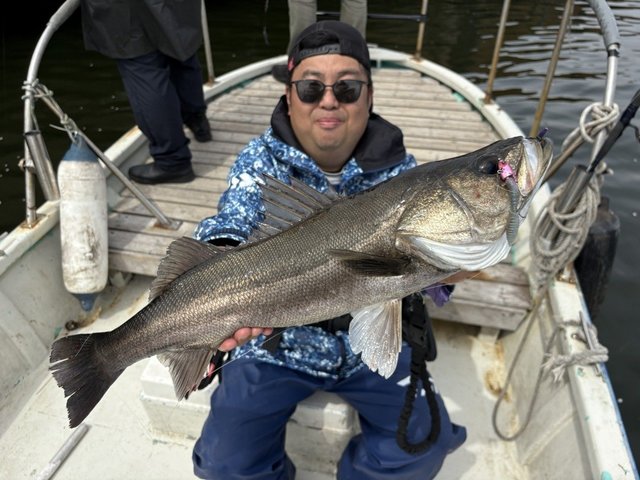 シーバス(スズキ)