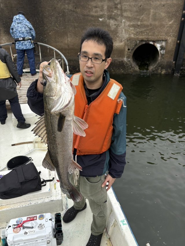 シーバス(スズキ)