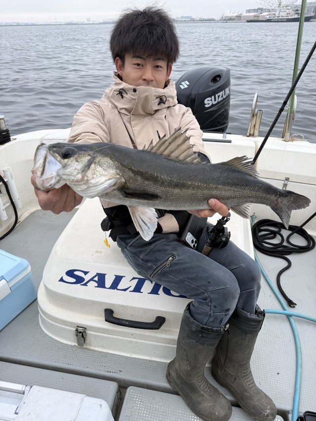 シーバス(スズキ)