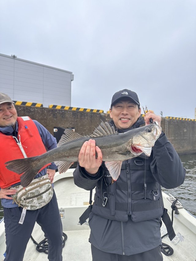 シーバス(スズキ)