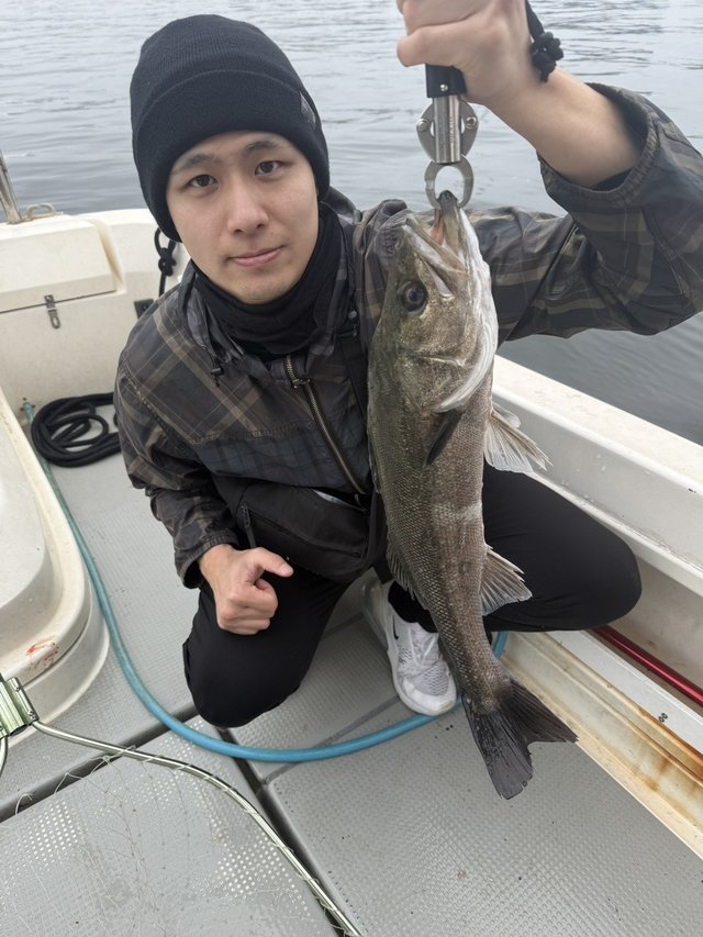 シーバス(スズキ)