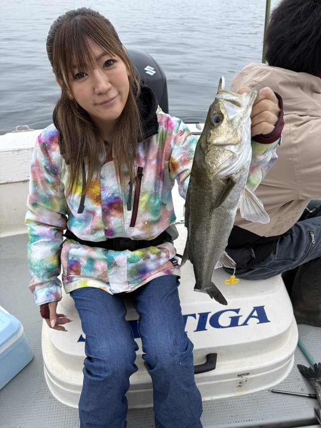 シーバス(スズキ)