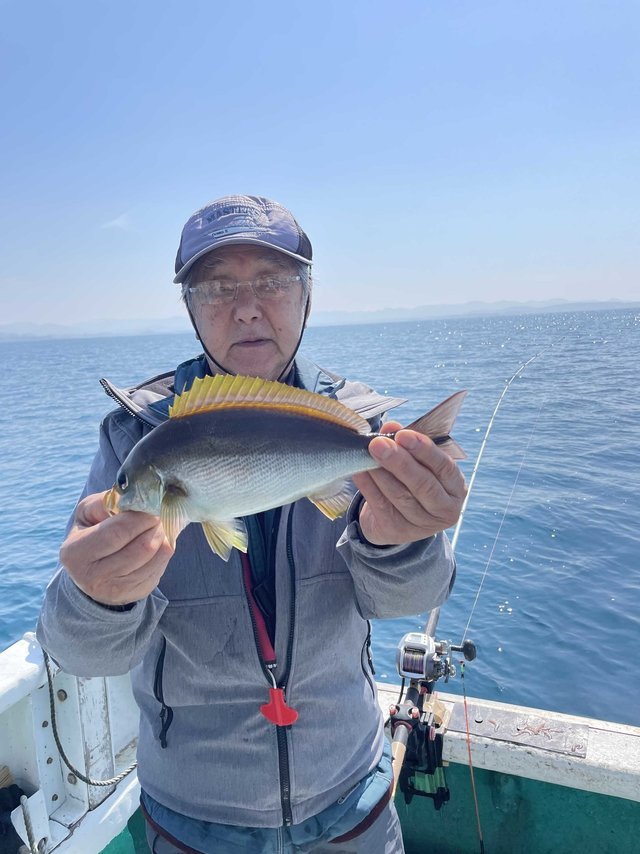 イサギ(イサキ)