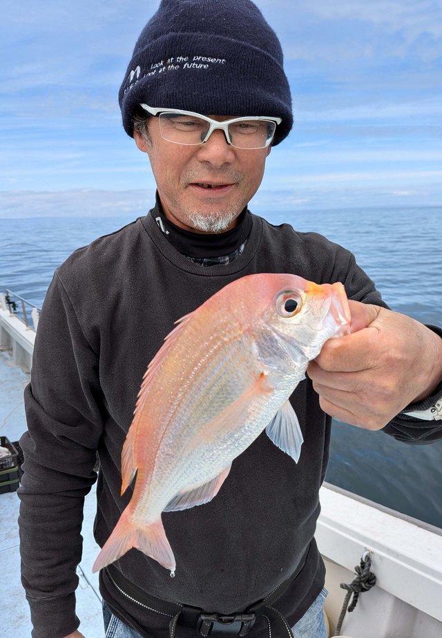 レンコダイ(キダイ)